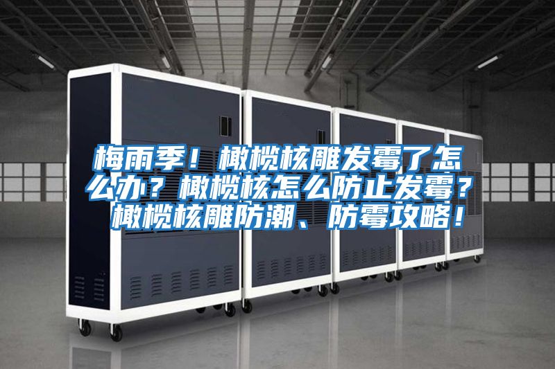 梅雨季！橄欖核雕發霉了怎么辦？橄欖核怎么防止發霉？ 橄欖核雕防潮、防霉攻略！