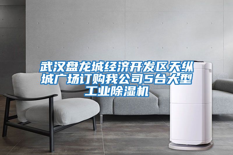 武漢盤龍城經濟開發區天縱城廣場訂購我公司5臺大型工業除濕機