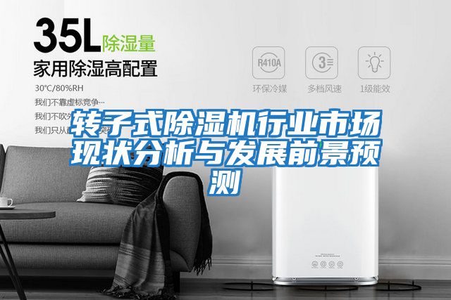 轉子式除濕機行業(yè)市場現(xiàn)狀分析與發(fā)展前景預測