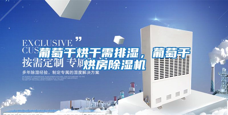 葡萄干烘干需排濕,葡萄干烘房除濕機