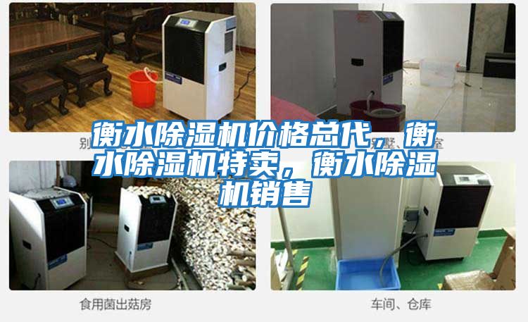 衡水除濕機(jī)價(jià)格總代,衡水除濕機(jī)特賣,衡水除濕機(jī)銷售
