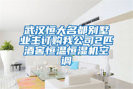 武漢恒大名都別墅業(yè)主訂購我公司2匹酒窖恒溫恒濕機空調(diào)