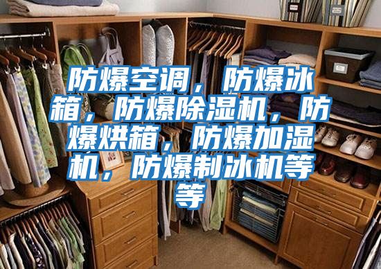 防爆空調(diào),防爆冰箱,防爆除濕機(jī),防爆烘箱,防爆加濕機(jī),防爆制冰機(jī)等等