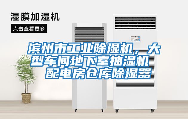 濱州市工業(yè)除濕機，大型車間地下室抽濕機  配電房倉庫除濕器