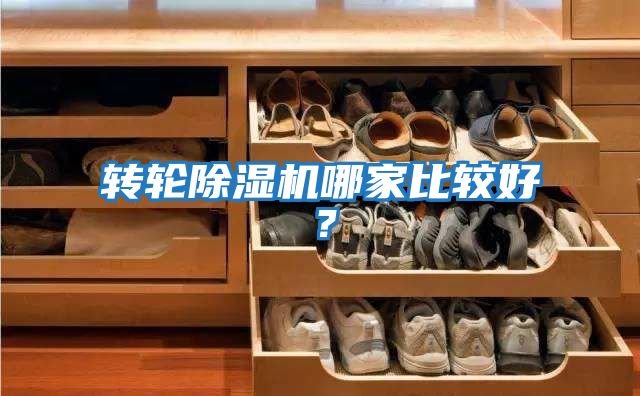 轉輪除濕機哪家比較好？