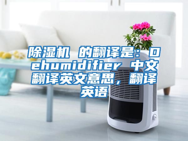 除濕機(jī) 的翻譯是：Dehumidifier 中文翻譯英文意思，翻譯英語