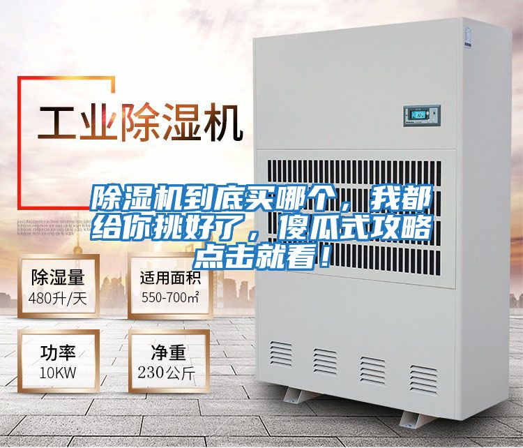 除濕機到底買哪個，我都給你挑好了，傻瓜式攻略點擊就看！