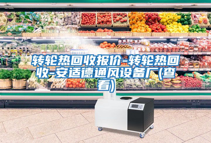 轉(zhuǎn)輪熱回收?qǐng)?bào)價(jià)-轉(zhuǎn)輪熱回收-安適德通風(fēng)設(shè)備廠(chǎng)(查看)