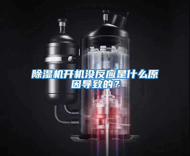 除濕機開機沒反應是什么原因?qū)е碌模?/></p>
						    <p style=