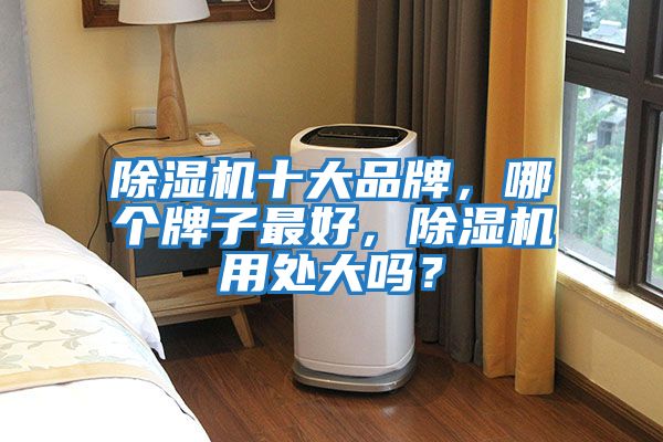除濕機十大品牌，哪個牌子最好，除濕機用處大嗎？