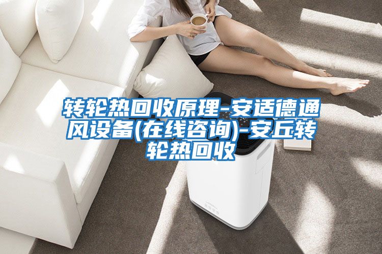 轉(zhuǎn)輪熱回收原理-安適德通風(fēng)設(shè)備(在線(xiàn)咨詢(xún))-安丘轉(zhuǎn)輪熱回收
