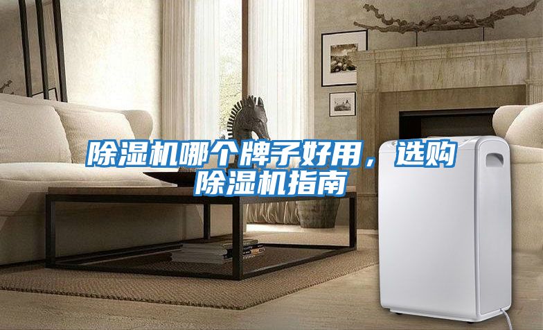除濕機(jī)哪個(gè)牌子好用，選購除濕機(jī)指南