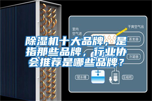 除濕機十大品牌,是指那些品牌,行業協會推薦是哪些品牌?