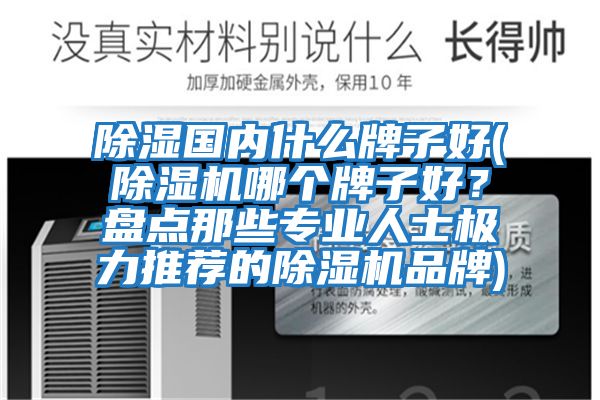 除濕國內(nèi)什么牌子好(除濕機哪個牌子好?盤點那些專業(yè)人士極力推薦的除濕機品牌)