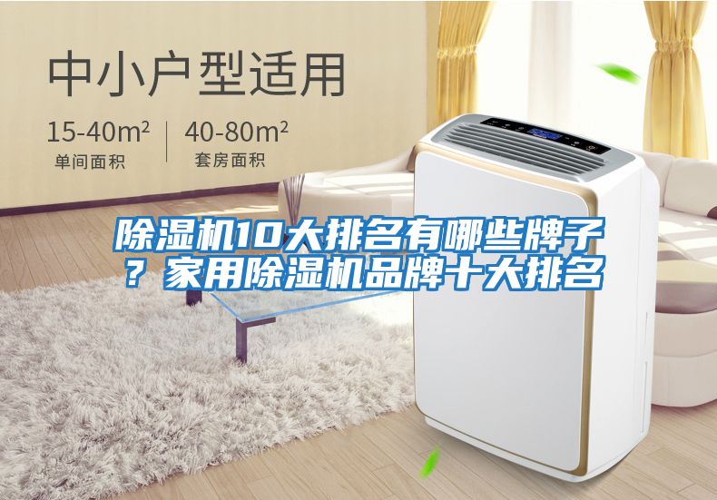 除濕機(jī)10大排名有哪些牌子？家用除濕機(jī)品牌十大排名