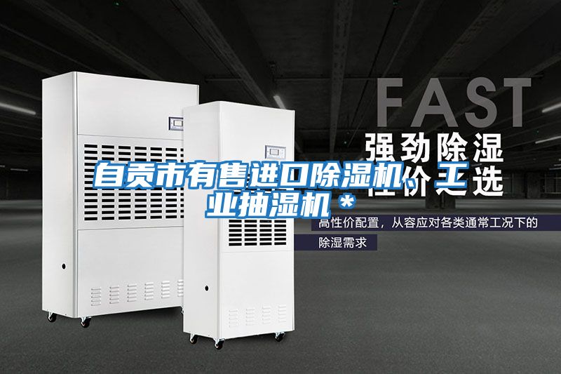 自貢市有售進口除濕機、工業抽濕機＊