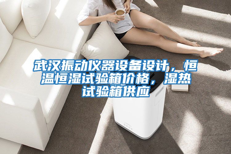 武漢振動(dòng)儀器設(shè)備設(shè)計(jì),恒溫恒濕試驗(yàn)箱價(jià)格,濕熱試驗(yàn)箱供應(yīng)