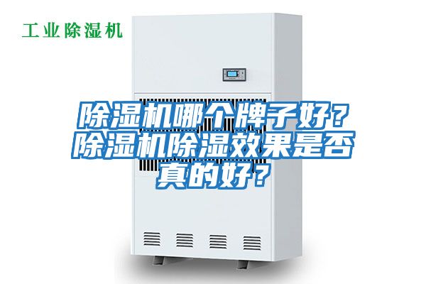 除濕機哪個牌子好？除濕機除濕效果是否真的好？