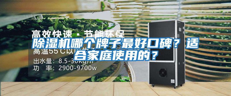 除濕機哪個牌子最好口碑？適合家庭使用的？