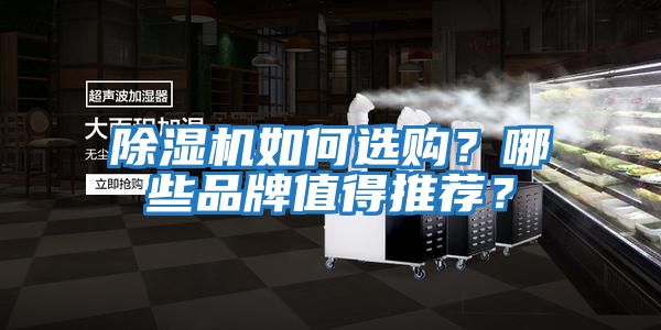 除濕機(jī)如何選購?哪些品牌值得推薦?