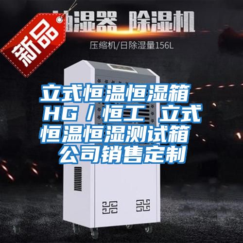 立式恒溫恒濕箱 HG/恒工 立式恒溫恒濕測試箱 公司銷售定制