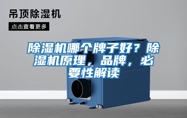 除濕機哪個牌子好？除濕機原理，品牌，必要性解讀