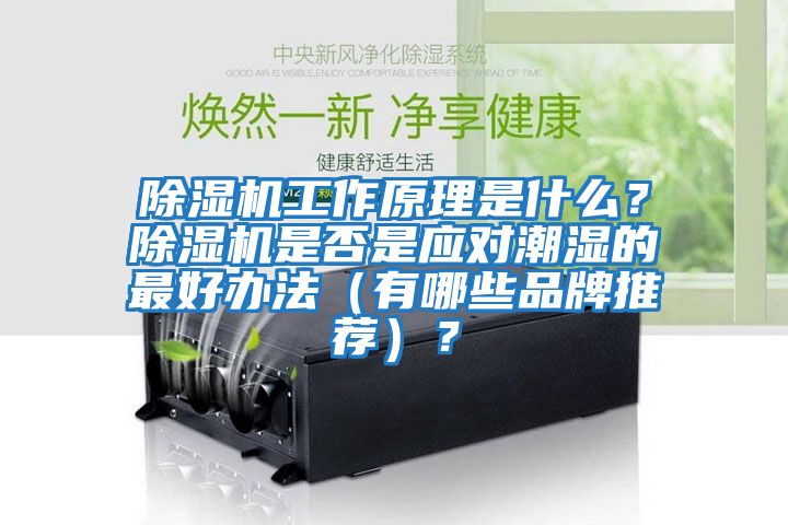 除濕機(jī)工作原理是什么?除濕機(jī)是否是應(yīng)對潮濕的最好辦法(有哪些品牌推薦)?