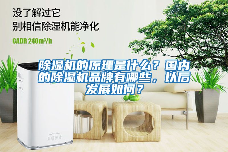 除濕機的原理是什么？國內的除濕機品牌有哪些，以后發展如何？