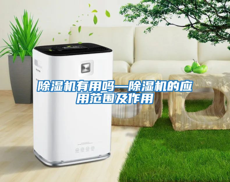 除濕機有用嗎—除濕機的應(yīng)用范圍及作用