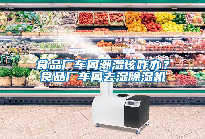 食品廠車(chē)間潮濕該咋辦？食品廠車(chē)間去濕除濕機(jī)