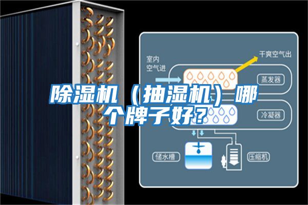 除濕機（抽濕機）哪個牌子好？