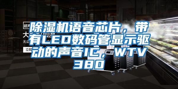 除濕機語音芯片，帶有LED數碼管顯示驅動的聲音IC，WTV380