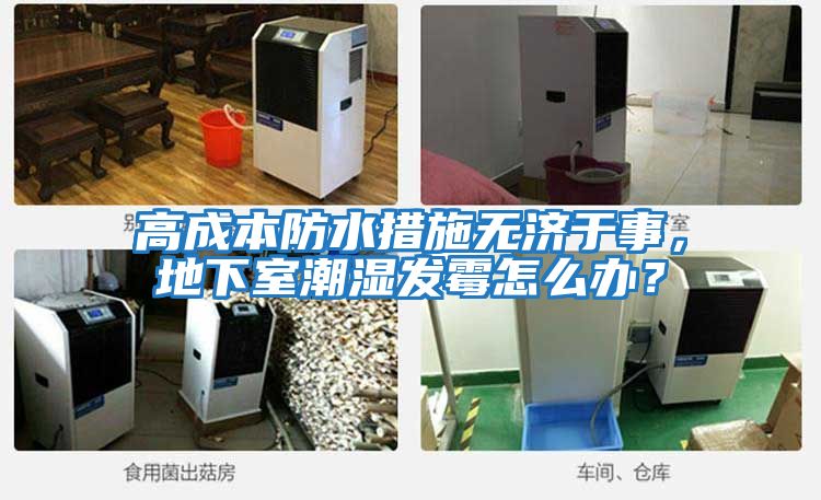 高成本防水措施無濟于事，地下室潮濕發霉怎么辦？