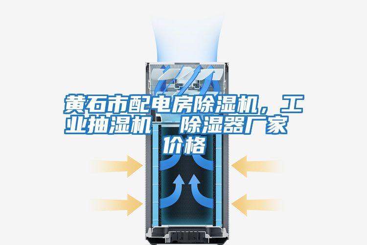 黃石市配電房除濕機(jī),工業(yè)抽濕機(jī) 除濕器廠家 價格