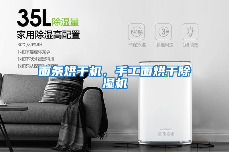 面條烘干機(jī),手工面烘干除濕機(jī)