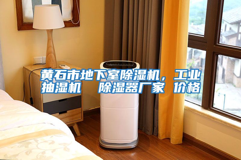 黃石市地下室除濕機(jī),工業(yè)抽濕機(jī) 除濕器廠家 價格
