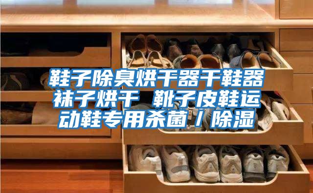 鞋子除臭烘干器干鞋器襪子烘干 靴子皮鞋運(yùn)動(dòng)鞋專用殺菌/除濕