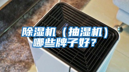 除濕機（抽濕機）哪些牌子好？